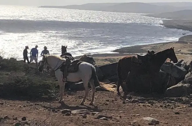 Horseback Riding in Aruba: Sunset, Rock Formation & North Coast