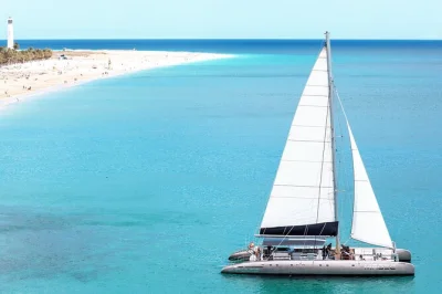 Vivi la costa sud di fuerteventura a bordo di un catamarano moderno, avvista delfini, nuota in calette tranquille e gusta un pranzo con bevande incluse—ritiro a morro jable.