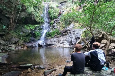 Feel the wild side of okinawa’s yanbaru on a private jungle trek, swim beneath waterfalls, enjoy tea in the forest, and explore with a native english-speaking guide.