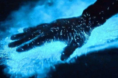 Swim in glowing waters at los arcos sanctuary near puerto vallarta, watch the sunset from a local boat, and hear stories from your guide. includes drink & lifevest.