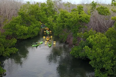Feel the magic of laguna grande’s glowing waters on a guided bioluminescent bay kayak tour in puerto rico, with snacks, equipment, and friendly local guides included.