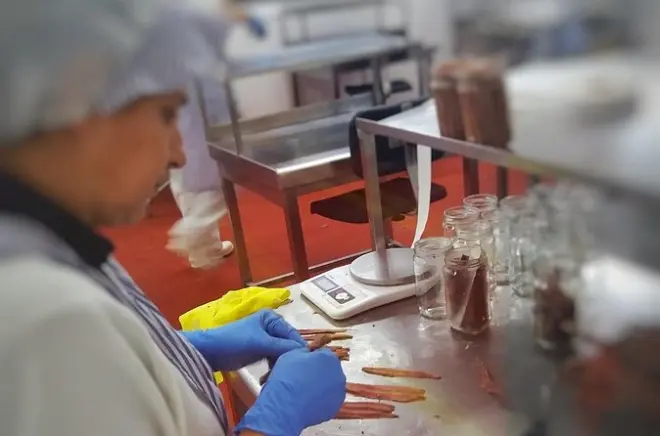 Santoña anchovy factory tour from Santander: Small groups