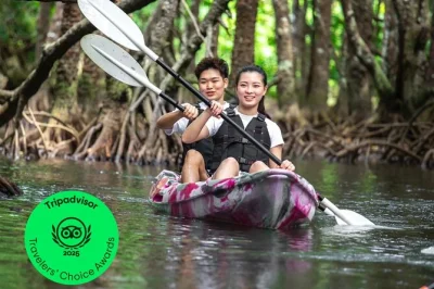 Descubre el manglar de ishigaki en sup o canoa, deslízate entre raíces enredadas, observa la fauna de cerca y disfruta un día eco-friendly con guías locales—equipo y duchas calientes incluidos.