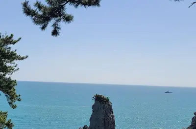 Jeju Insel Südküste private Tour: Wasserfälle & Klippen