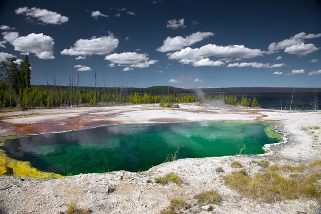 Yellowstone Lower Loop: Old Faithful, fauna selvatica e panorami