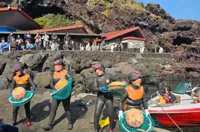 Ost-Jeju: UNESCO Vulkan & Haenyeo-Taucher erleben