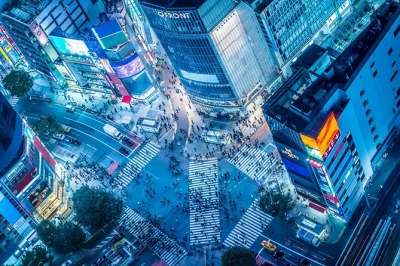 Siente el ritmo de tokio en un tour a pie por shibuya: cruza el famoso cruce, descubre los bares de nonbei yokocho y termina en la estatua de hachiko. todo incluido.