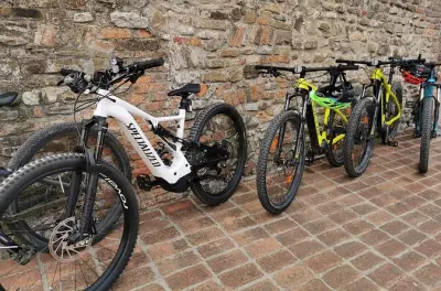 Tour à vélo électrique Modène : Parmesan et vinaigre balsamique
