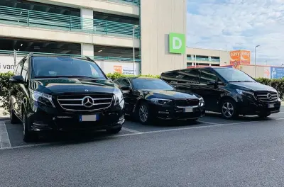 Transfer Basel Port nach Stresa: Privater Wagen, 4 Stunden