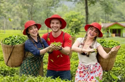 Nuwara Eliya Tee-Pflück-Tour: Tee-Fabrik & Ramboda-Wasserfälle