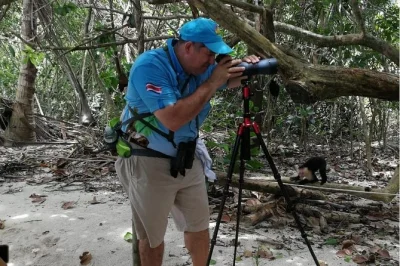 Manuel antonio nationalpark: geführte wanderung zu faultieren, affen & vögeln, danach entspannen am strand. inklusive snacks und teleskop.