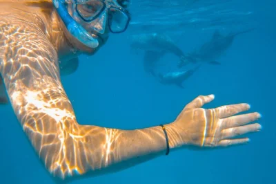 Wake up to swahili breakfast, snorkel wasini’s reefs, explore the slave caves, and share a seafood lunch by the sea. includes pickup and all equipment.