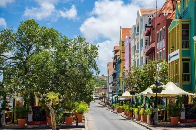 Scopri i colori di curacao con un tour privato in isola: nuota con le tartarughe, esplora le vie colorate di punda e la costa selvaggia di shete boka. include pick-up in hotel e guida.