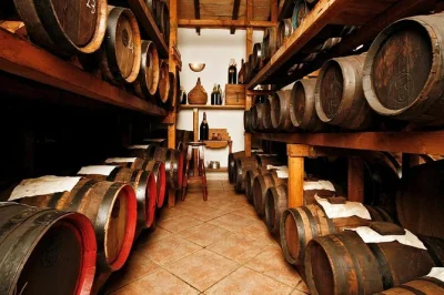 Step inside acetaia cavedoni near modena for a guided balsamic vinegar tour, vineyard walk, and tastings of aged vinegars, local meats, cheese, and lambrusco. includes food & guide.