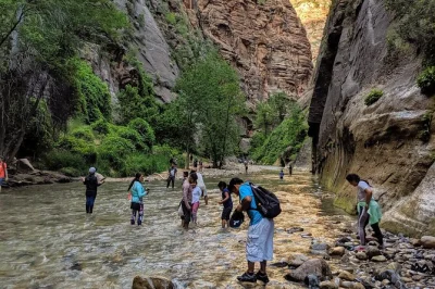 Descubre los imponentes acantilados de zion en un tour desde las vegas en grupo pequeño, con acceso directo al parque, paradas flexibles y traslado incluido—sin las multitudes de los tours combinad