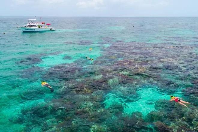 Snorkel en Key Largo: Arrecife de coral con equipo incluido