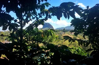 Descubre guatapé desde medellín: prueba frutas exóticas, sube la piedra del peñol, visita una finca cafetera y pasea por sus calles llenas de color. incluye recogida.