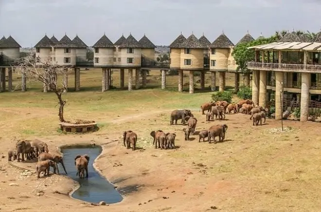Taita Hills Safari Game Drives from Diani Beach