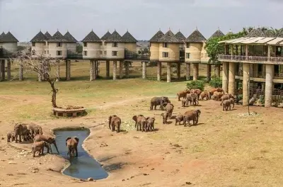 Safari in Taita Hills ab Diani Beach