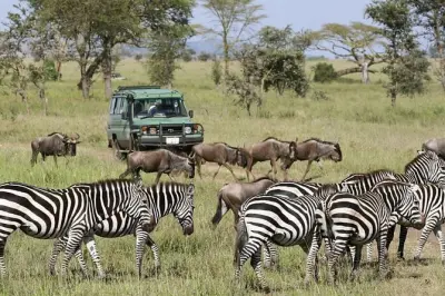 Safari 3 jours cratère de Ngorongoro : Tarangire, Manyara et faune