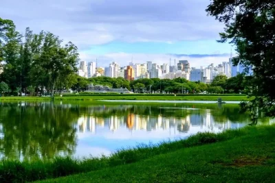 Feel são paulo’s pulse on a private city tour—wander paulista avenue, taste liberdade, stroll ibirapuera park. includes hotel pickup, guide & flexible stops.