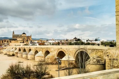 Découvrez córdoba en visite privée depuis séville avec guide. explorez la mosquée-cathédrale, le quartier juif, les patios et le pont romain. transport et billets inclus.