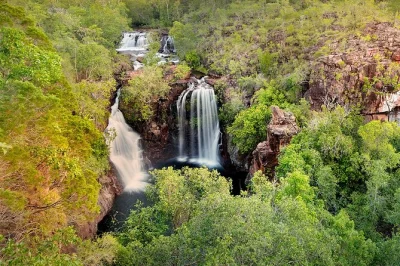 Scopri le fresche cascate di wangi falls, nuota nelle acque cristalline di berry springs e passeggia tra foreste millenarie con una guida locale. include pick-up, pranzo e gruppi piccoli per il massim