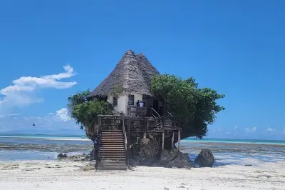 Forêt de Jozani, grotte Kuza et plage de Paje avec singes colobes