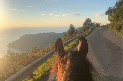 Feel the sea breeze on a horseback ride above monterosso al mare, winding through cinque terre woods with a small group. includes helmet and saddled horse.