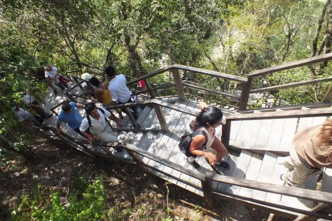 Tikal Ruins Day Tour: Mayan Temples & Jungle Wildlife