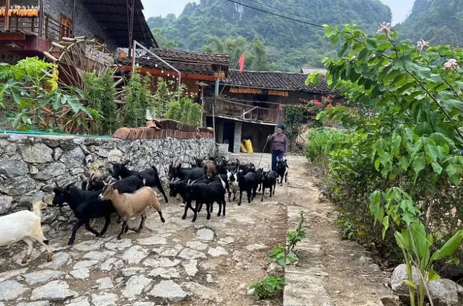 2-day Ban Gioc Waterfall trek from Cao Bang: Ethnic villages