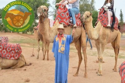 Enjoy a real agadir camel ride through eucalyptus forest & souss river, with hotel pickup and moroccan tea. no shopping stops or hidden extras.