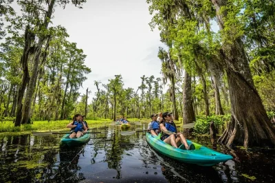 Entdecke den manchac swamp in louisiana per kajak mit einem lokalen naturführer. inkl. abholung ab new orleans, kleine gruppen und spannende geschichten über versunkene orte.