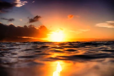 Disfruta las luces de waikiki desde el mar en un paseo en barco con fondo de cristal al atardecer. incluye agua embotellada, fotos y tripulación local. accesible para sillas de ruedas.