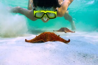 Grand Cayman: Stingray City e Coral Gardens com snorkel privado