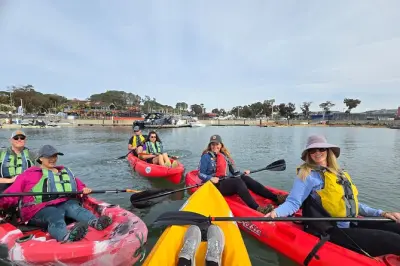 Kayaking in Dana Point: Sea Cave & Sea Lions