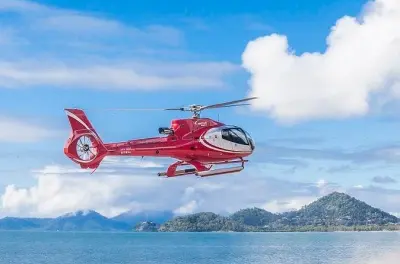 Palm Island Helicopter Flight: 60-Minute Scenic Tour