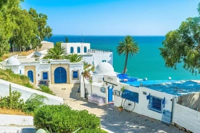Wander tunis’ medina, stand in ancient carthage, and stroll blue-white sidi bou said. includes hotel pickup, local guide, and a relaxed lunch by the sea.