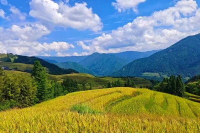 Explore os terraços de arroz de longji, conheça moradores zhuang e desfrute de um almoço típico nesta excursão privada com transporte saindo de guilin ou da estação de trem.