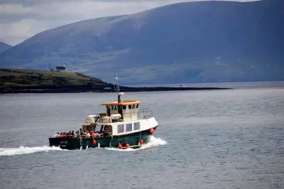Península de Dingle desde Limerick: Wild Atlantic Way