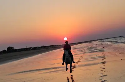 Équitation sur la plage de Sawadi, Oman : Coquillages et îles