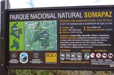 Birdwatching tour Sumapaz National Park from Bogota