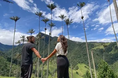 Vallée de Cocora à cheval : Palmiers à cire et cascade magique