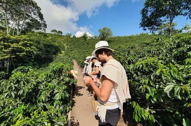 Excursion vallée de Cocora et ferme de café depuis Salento