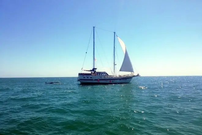 Picnic de iate no Mar Negro saindo de Balchik: Nade e almoce a bordo