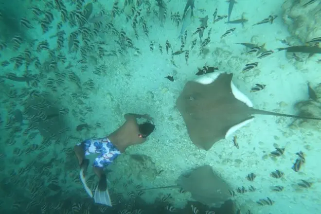 Inselhopping ab Hulhumale: Schnorcheln & Dorfkultur