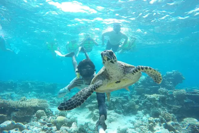 Snorkeling a Malé con banco di sabbia, coralli e delfini al tramonto