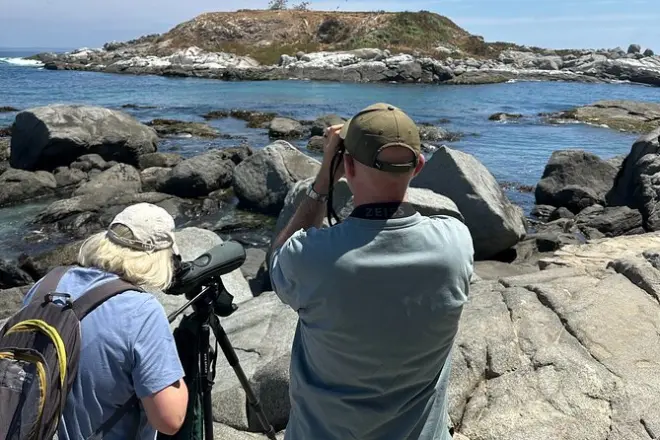 Valparaíso : Oiseaux au marais de Mantagua et manchots vus