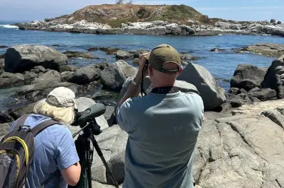 Valparaíso : Oiseaux au marais de Mantagua et manchots vus