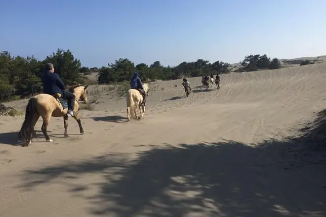 Balade à cheval près de Valparaíso : Plage de Ritoque et barbecue